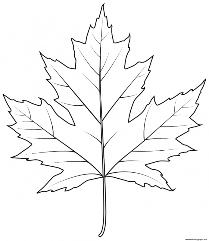 Осенние листики для раскрашивания