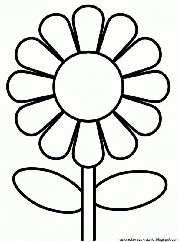 Раскраска цветок без стебля