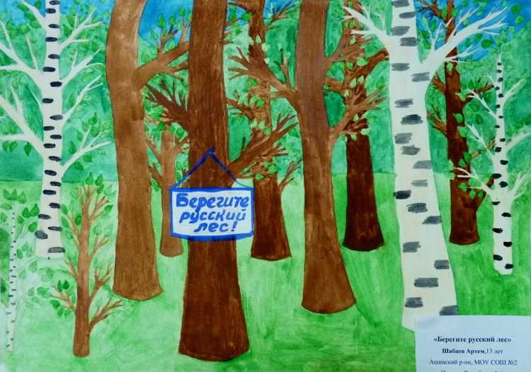 Рисунок на тему Защитим лес