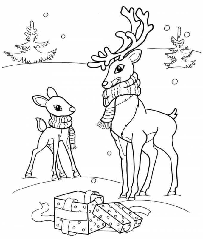 Северный олень раскраска