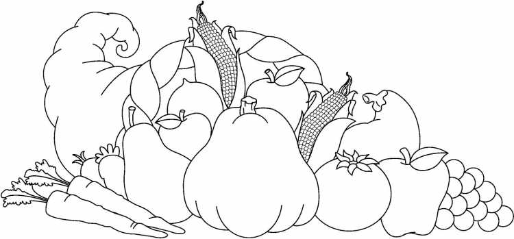 Апельсин раскраска