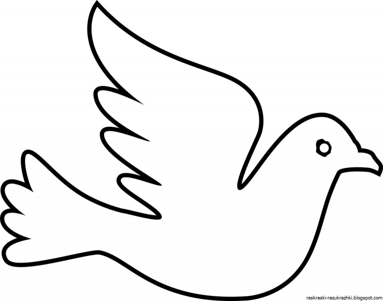 Голуби карандашом в полете