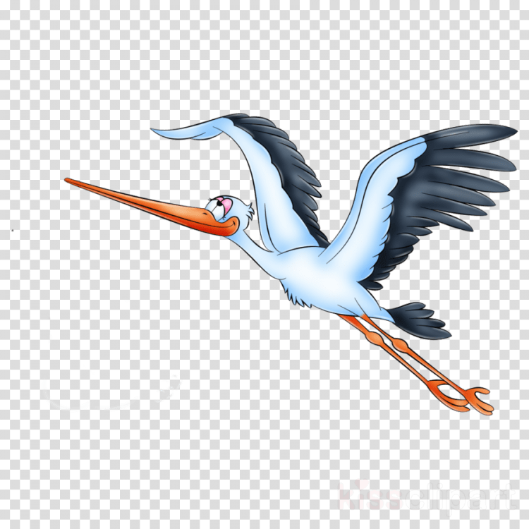 Рисунок аиста с ребенком в клюве