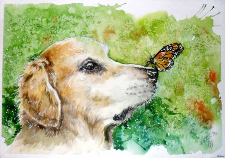 Рисунки акварелью