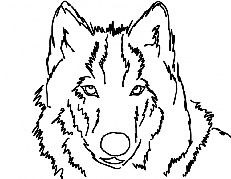 Картинки Волков раскраска
