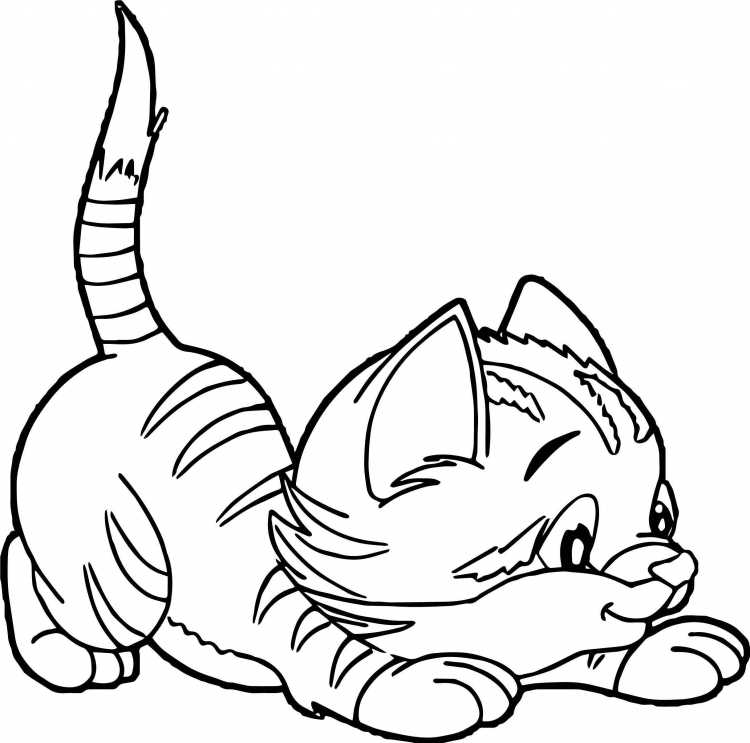 Котята для рисования