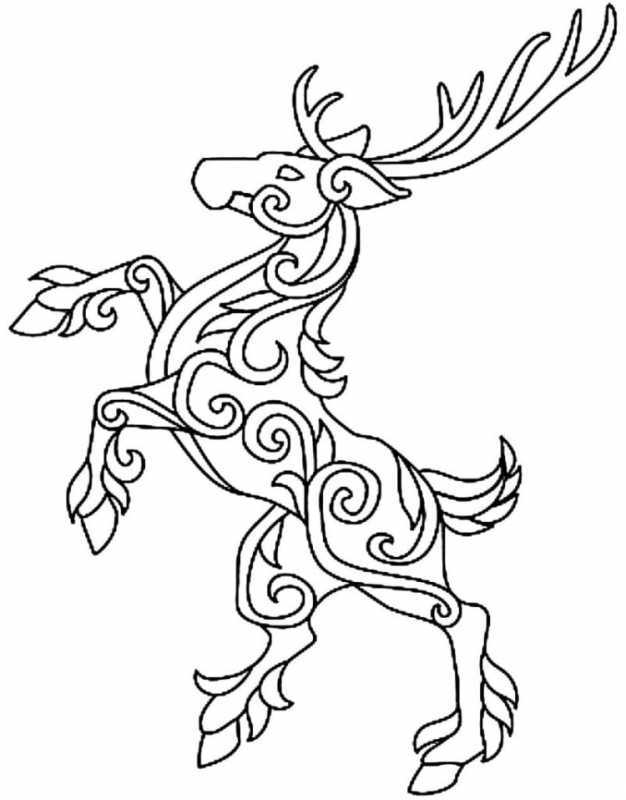 Голова оленя раскраска