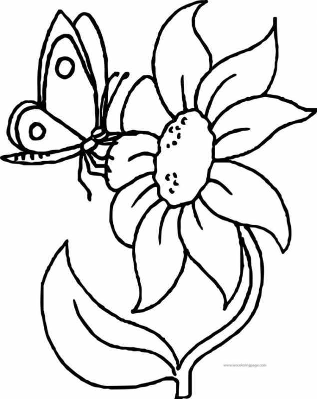 Цветы. Раскраска