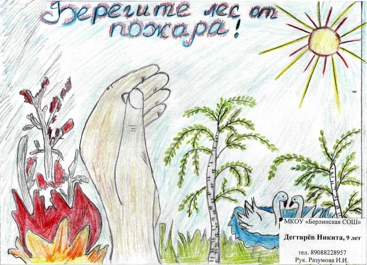 Рисунок берегите природу карандашом