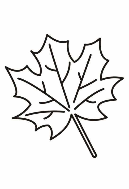 Раскраска по 1 листу