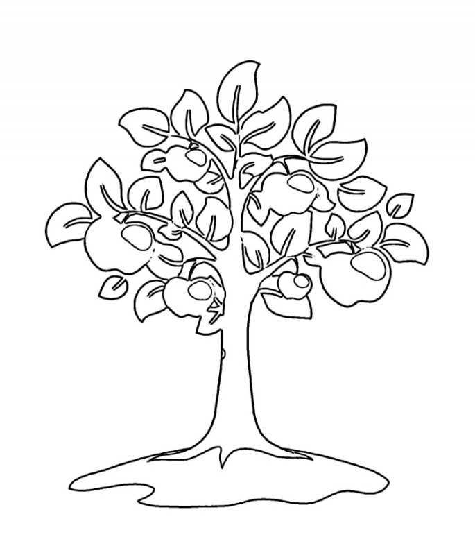 Дерево раскраска