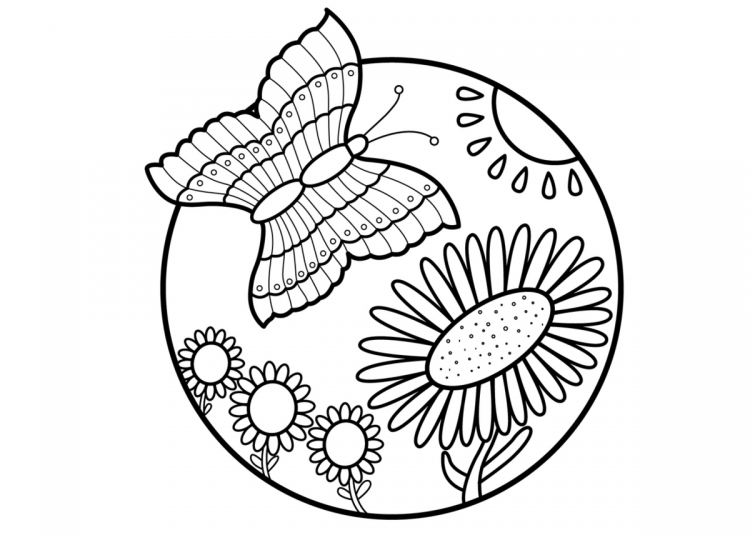 Экология раскраска