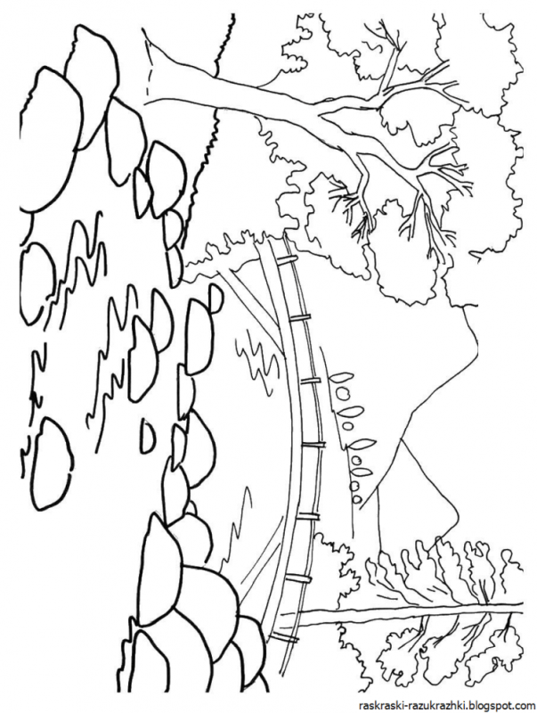 Береза без листьев