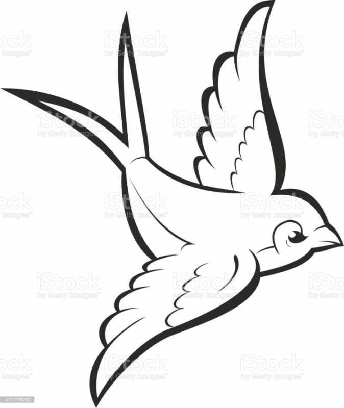 Ласточка контурный рисунок