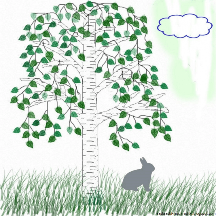 Береза без листьев