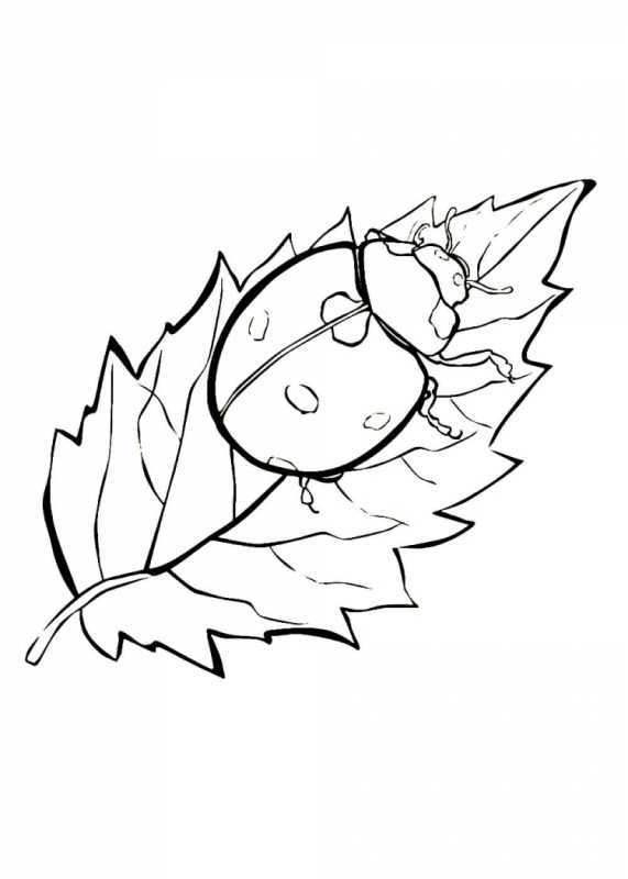 Божья коровка трафарет для детей