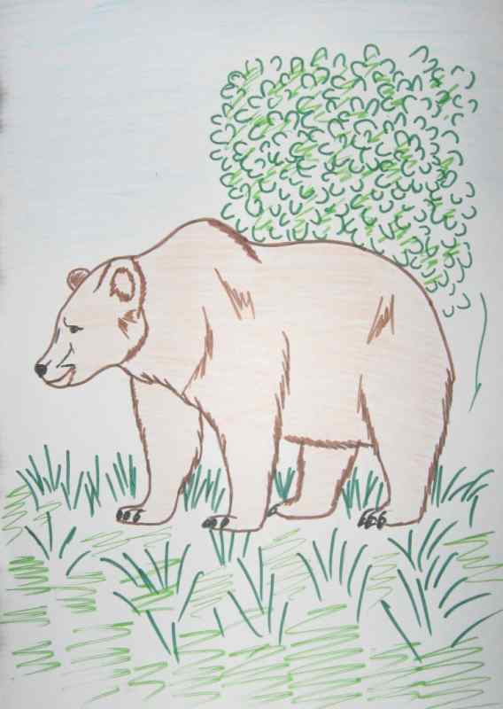 Заповедник рисунок