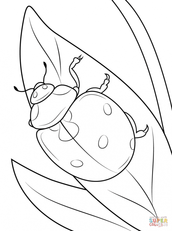 Раскраска природа