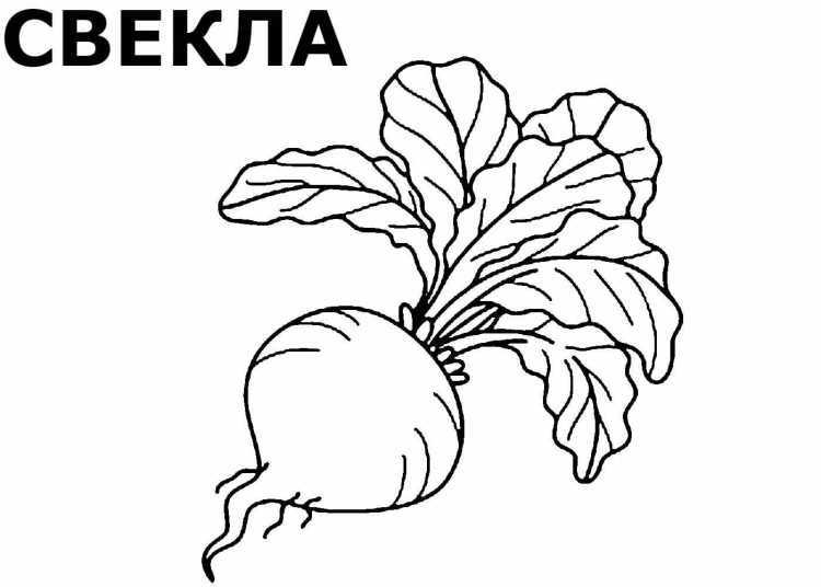 Сказка Репка раскраска дед