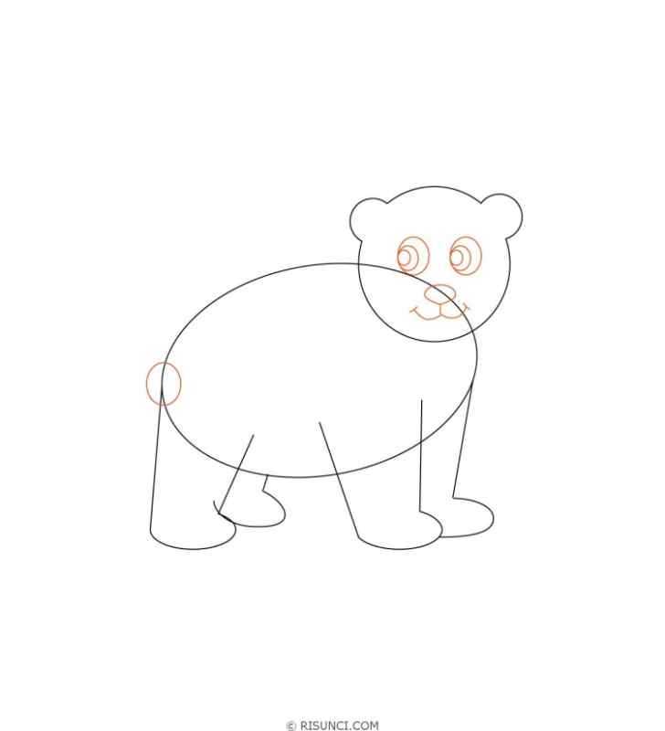 Поэтапное рисование медведя