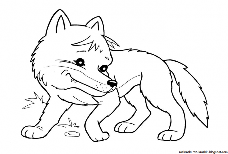 Раскраски Волков
