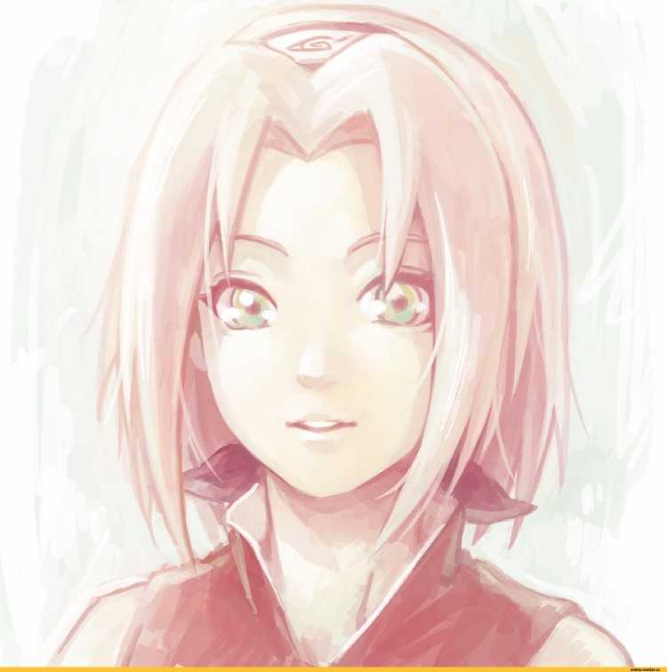 Сакура Наруто портрет