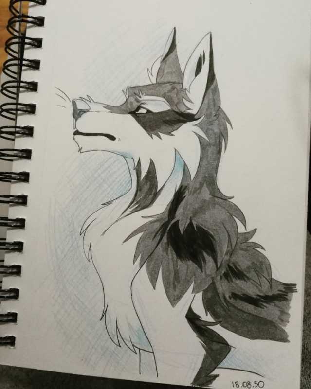 Рисунки для скетчбука волк