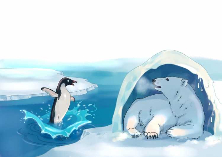 Всероссийский конкурс Арктики