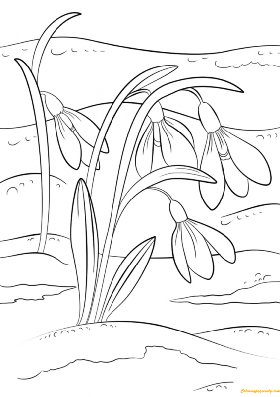 Левитан подснежники