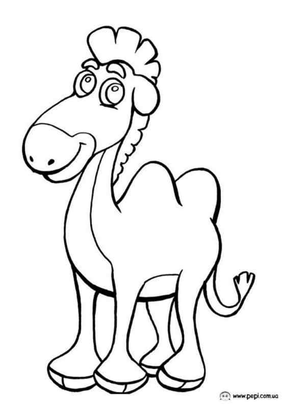 Картина верблюд для детей