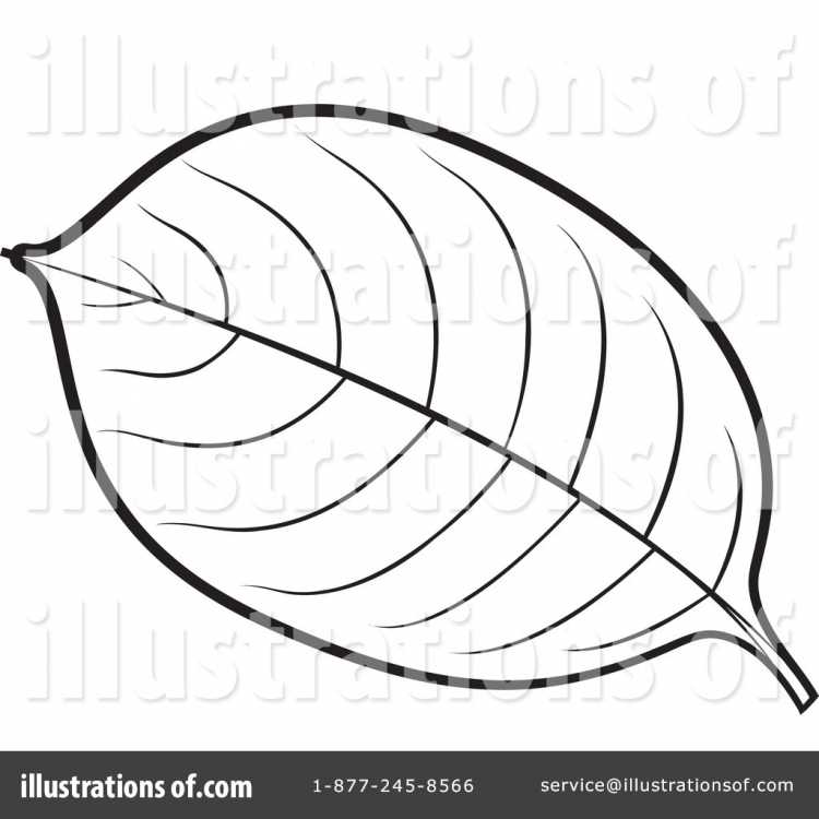 Листья раскраска