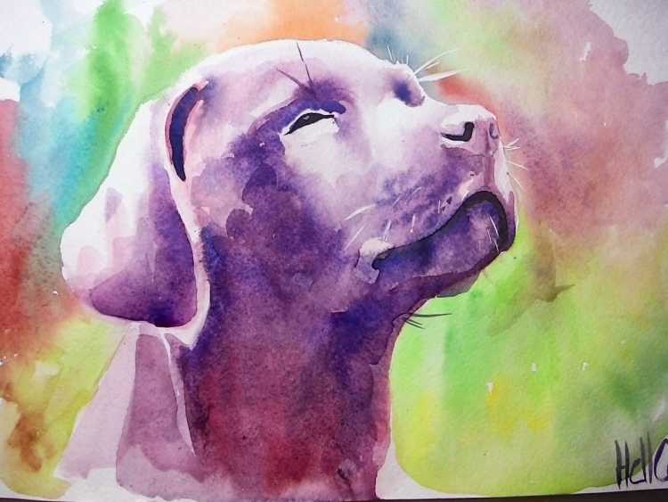 Рисунки красками