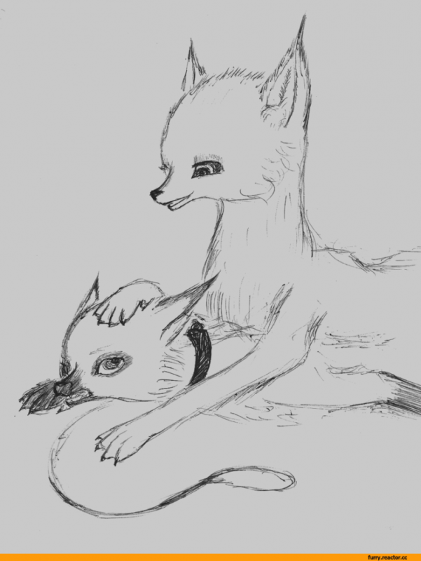 Рисунки карандашом фурри лиса