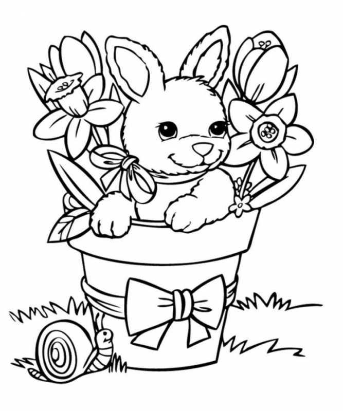 Заяц раскраска