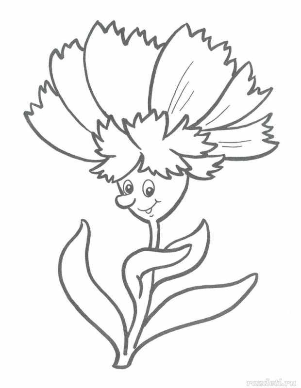 Раскраски цветы васильки