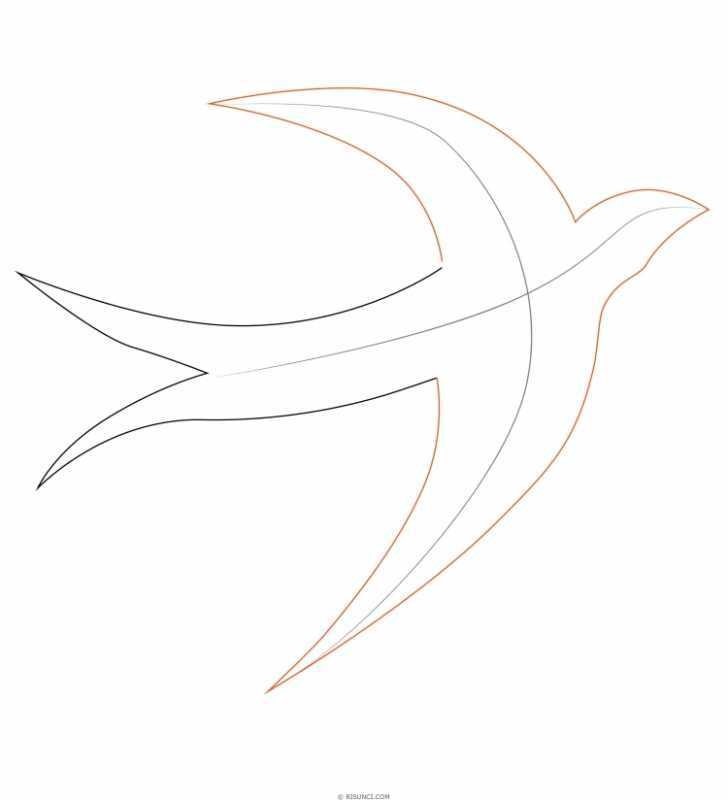 Ласточка эскиз