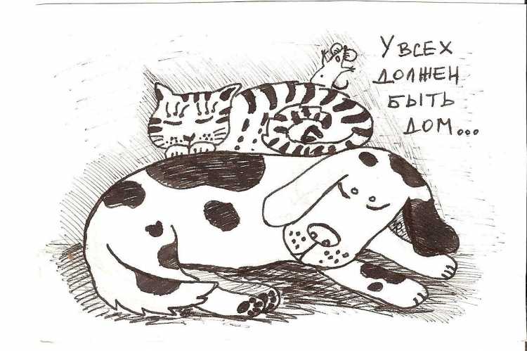 Рисунок на тему бездомных животных