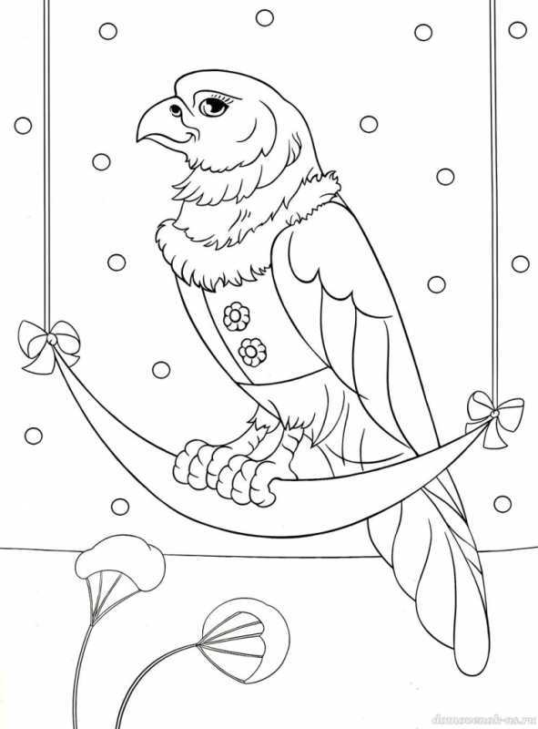 Раскраска попугай