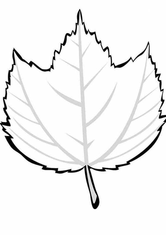 Раскраски осень листья для детей