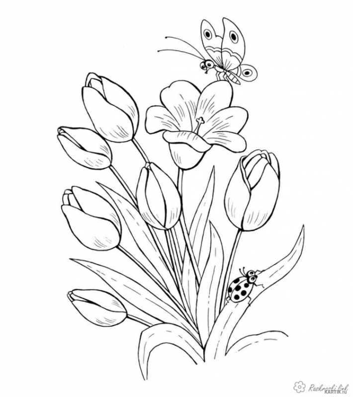 Тюльпан раскраска для детей