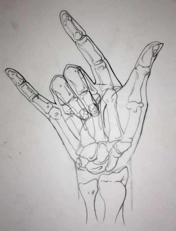 Скелет кисти человека