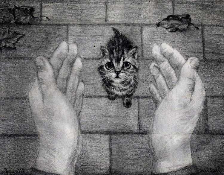 Стилизованная морда собаки