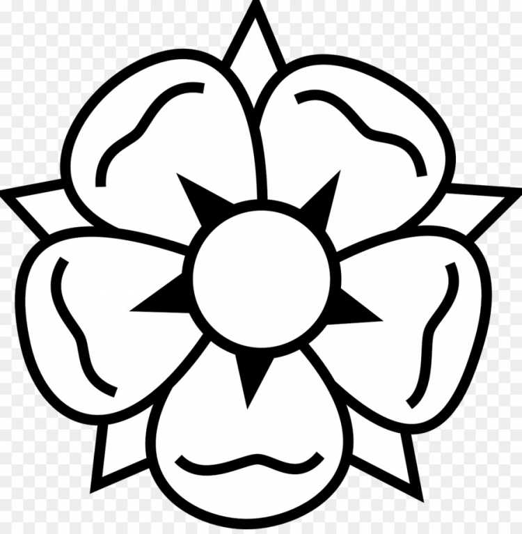 Цветы без стебля карандашом