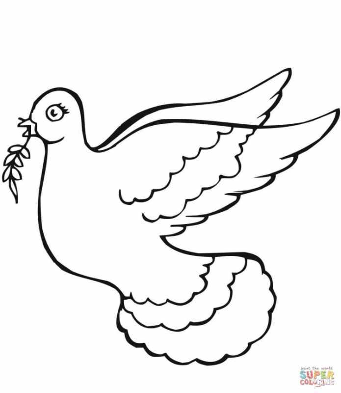 Голубь мира раскраска для детей