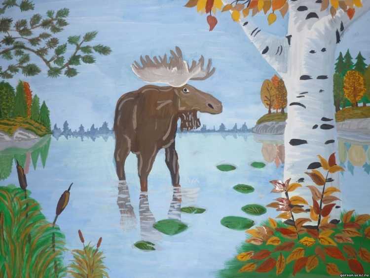 Картина заповедник