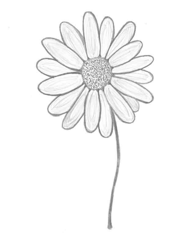 Рисование цветов для детей