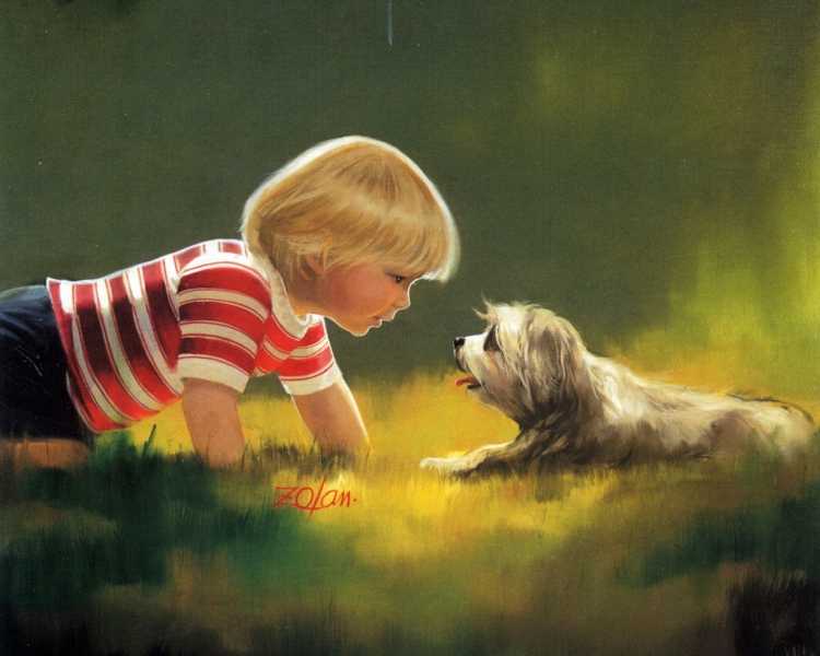 Детство Дональд Золан