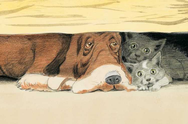 Иллюстрации бездомных животных