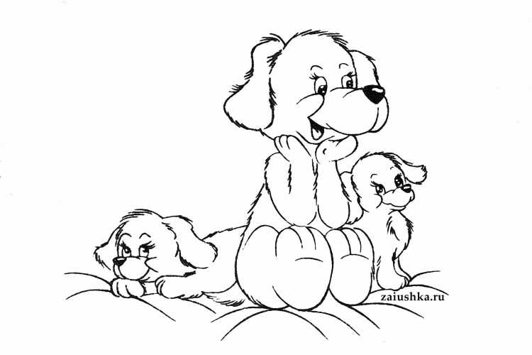 Раскраска собаки породы Бигль