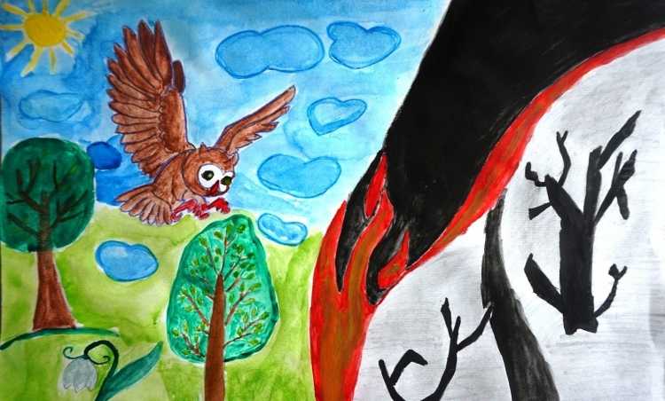 Рисунок на тему защити природу